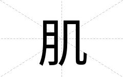 肌