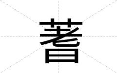蓍