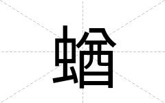 蝤