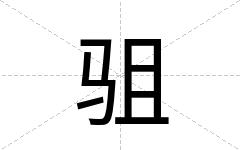 驵