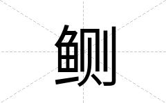 鲗