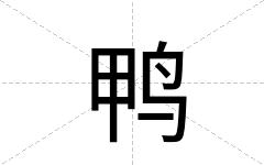 鸭