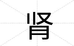 肾