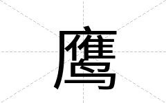 鹰