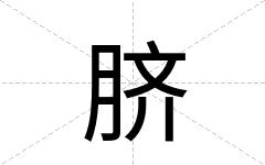 脐