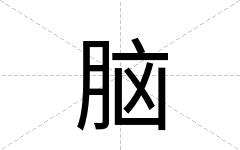 脑