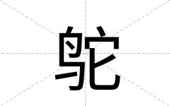 鸵