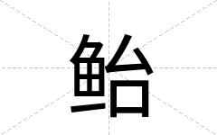 鲐