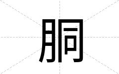 胴
