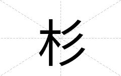 杉