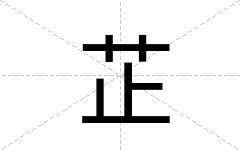 芷