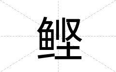 鲣