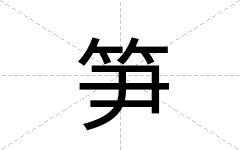 笋