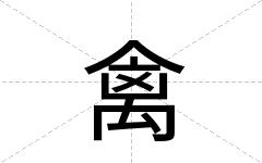 禽
