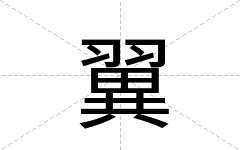翼