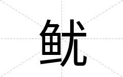 鱿