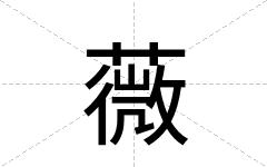 薇