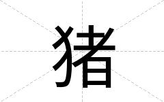猪