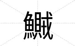 鱡