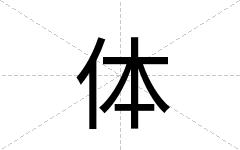 体