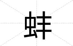 蚌