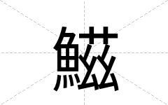 鰦
