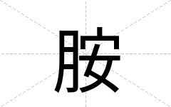 胺