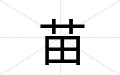 苗