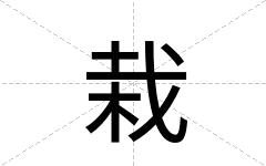 栽