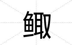 鲰
