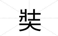 奘