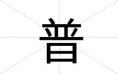 普