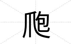 爮