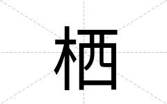栖