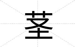 茎