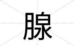 腺