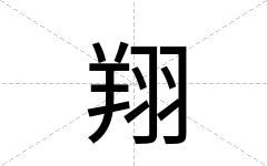 翔