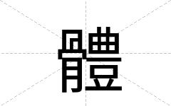 體