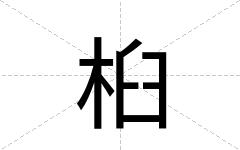 桕