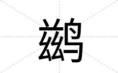 鹚