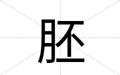 胚