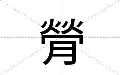 膋