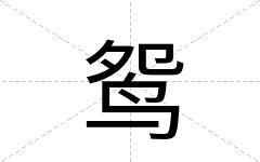 鸳