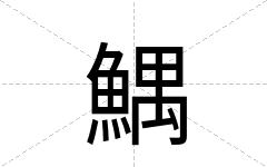 鰅