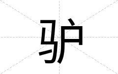 驴